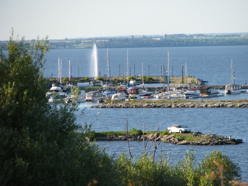 IMG_3868 IMG_3868