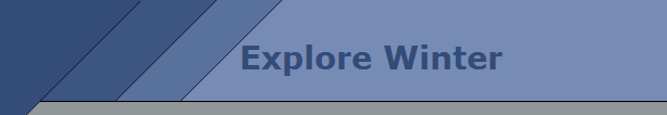 Explore Winter