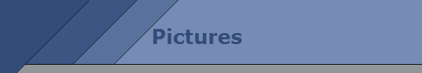 Pictures