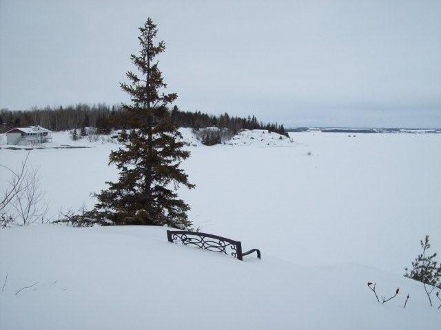 Placeholder  Image